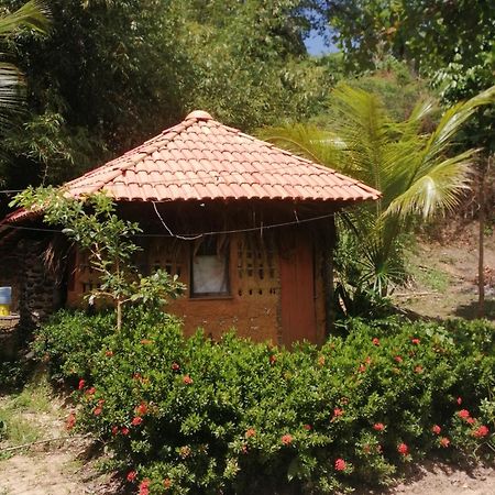 Ecopousada Casa Do Carimbo Fortalezinha Algodoal Exteriér fotografie