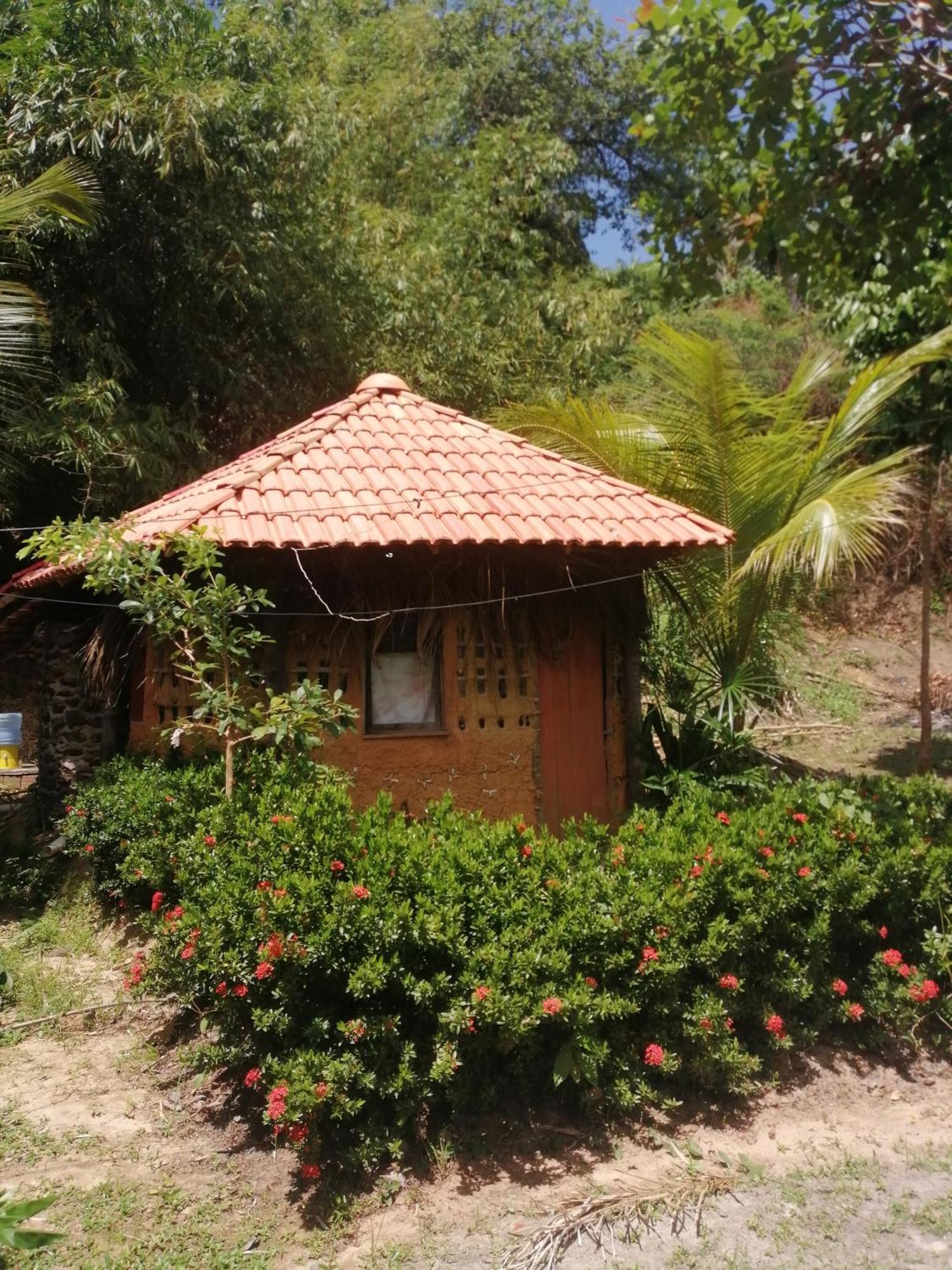 Ecopousada Casa Do Carimbo Fortalezinha Algodoal Exteriér fotografie